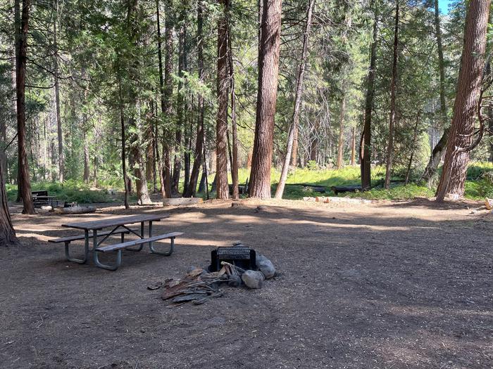 Smooth dirt tent pad surrounded by trees and near fire ring and picnic tableTent Pad
