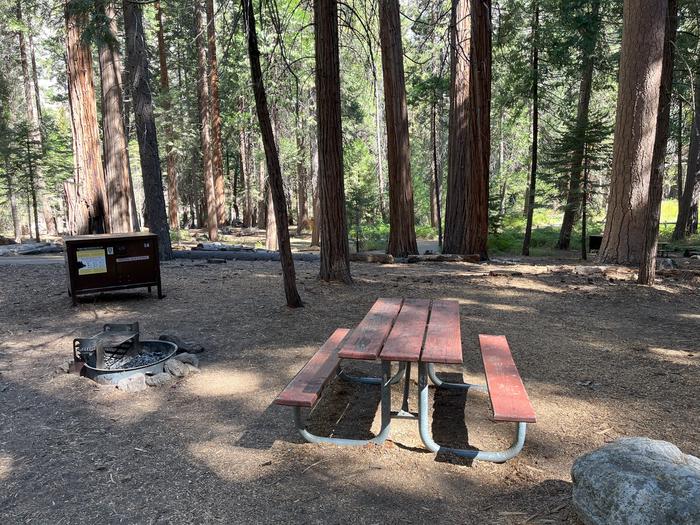 Camping area showing bear box, fire ring, picnic table and tent padBear box, picnic table and fire ring
