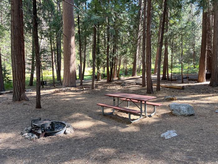 Smooth dirt tent pad surrounded by trees and near fire ring and picnic tableTent Pad
