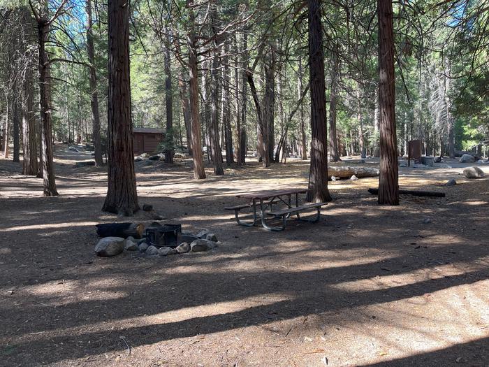 Smooth dirt tent pad surrounded by trees and near fire ring and picnic tableTent Pad
