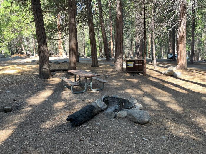 Camping area showing bear box, fire ring, picnic table and tent padBear box, picnic table and fire ring
