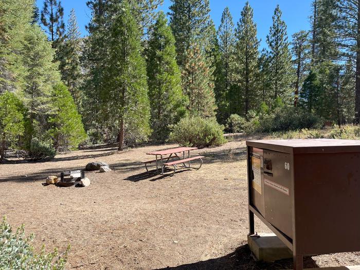 Camping area showing bear box, fire ring, picnic table and tent padBear box, picnic table and fire ring
