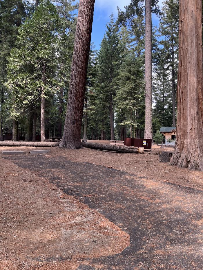 Parking pad showing bear box and picnic table with nearby campsiteParking pad