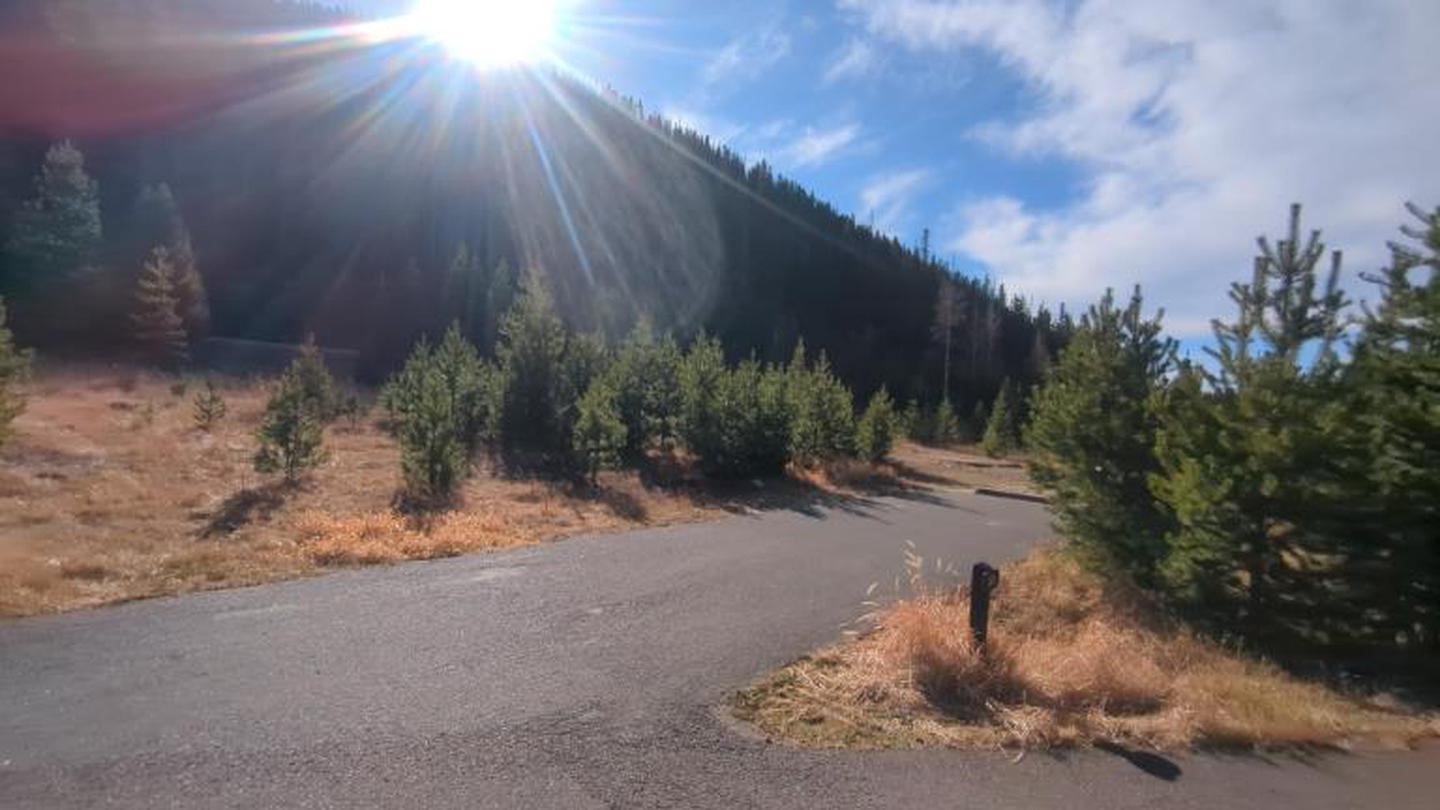 A photo of Site 59 of Loop C at Rocky Mountain National Park Timber Creek Campground