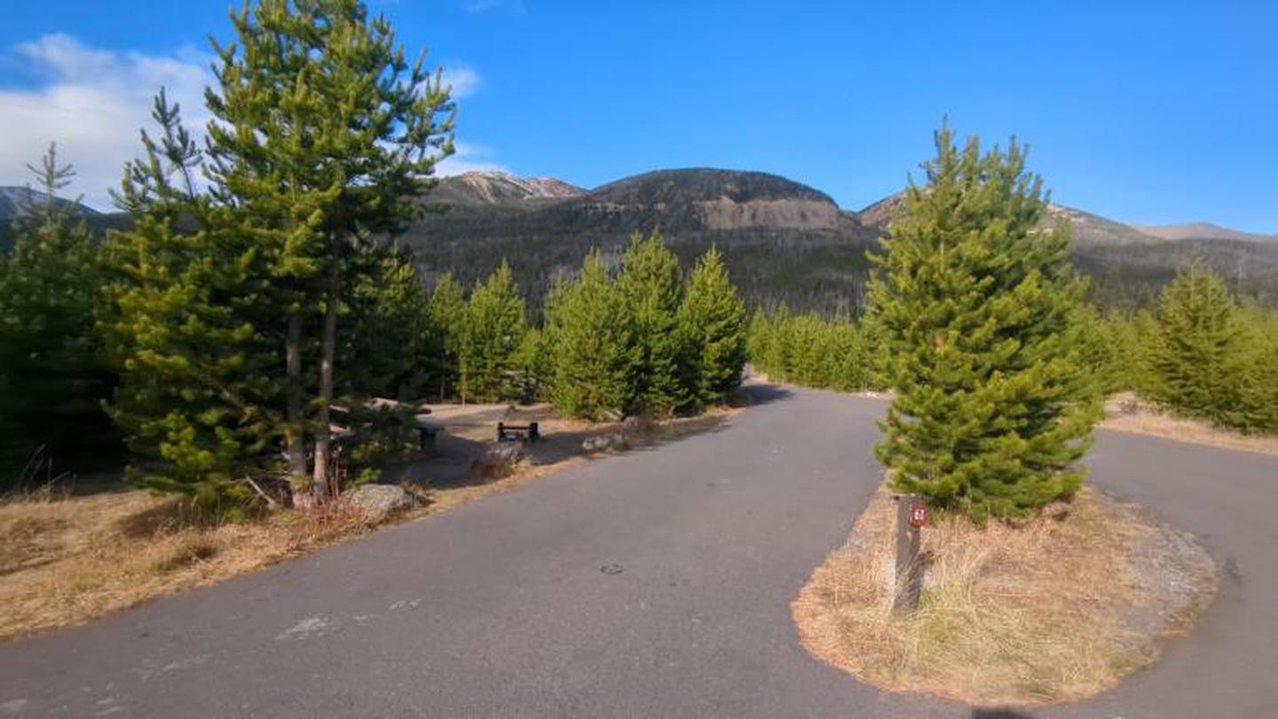 A photo of Site 61 of Loop C at Rocky Mountain National Park Timber Creek CampgroundSite 61 is a pull-through site.