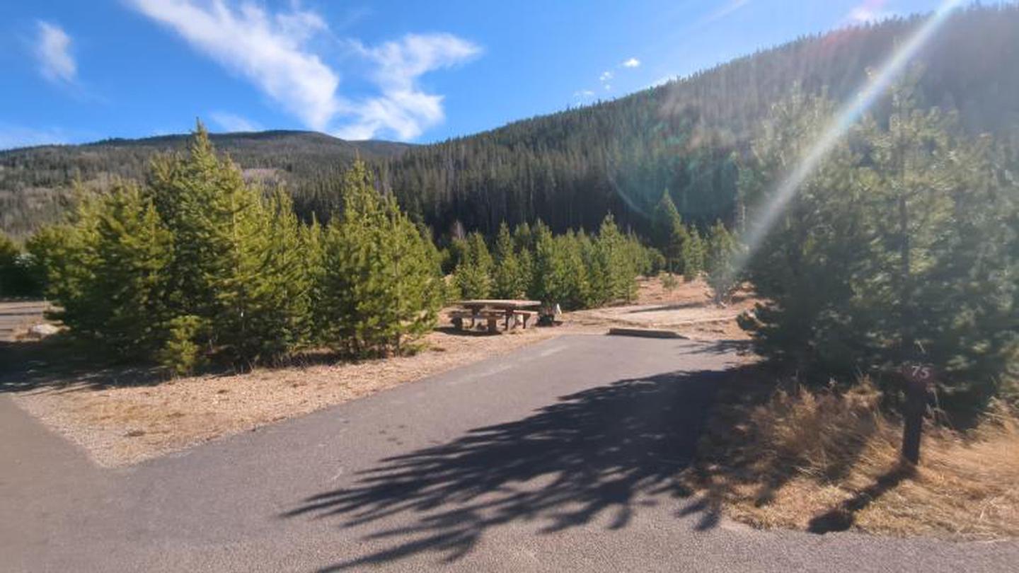 A photo of Site 75 of Loop D at Rocky Mountain National Park Timber Creek Campground