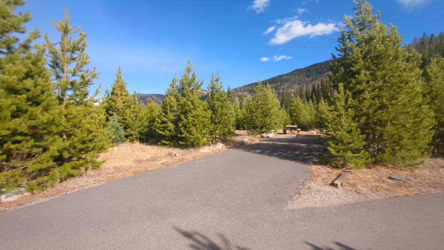 A photo of Site 98 of Loop D at Rocky Mountain National Park Timber Creek Campground