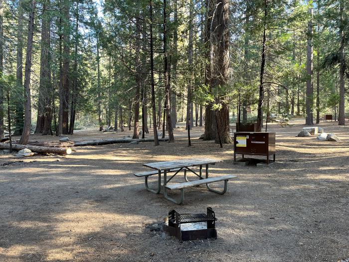 Camping area showing bear box, fire ring, picnic table and tent padBear box, picnic table and fire ring
