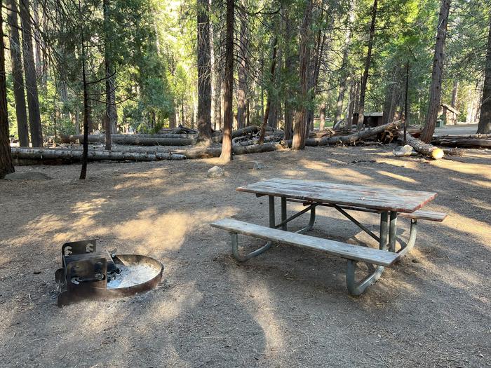 Smooth dirt tent pad surrounded by trees and near fire ring and picnic tableTent Pad
