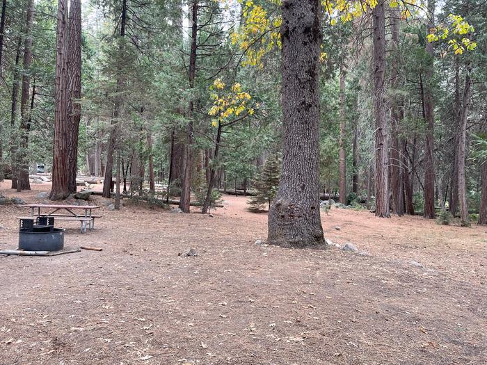 Smooth dirt tent pad surrounded by trees and near fire ring and picnic tableTent Pad
