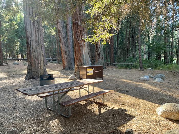 Camping area showing bear box, fire ring, picnic table and tent padBear box, picnic table and fire ring
