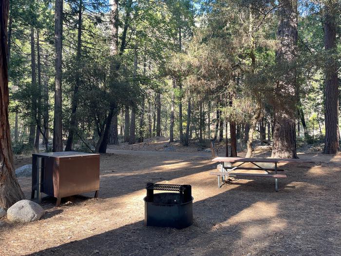 Smooth dirt tent pad surrounded by trees and near fire ring and picnic tableTent Pad
