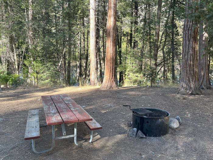 Smooth dirt tent pad surrounded by trees and near fire ring and picnic tableTent Pad
