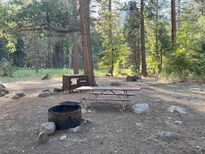 Camping area showing bear box, fire ring, picnic table and tent padBear box, picnic table and fire ring
