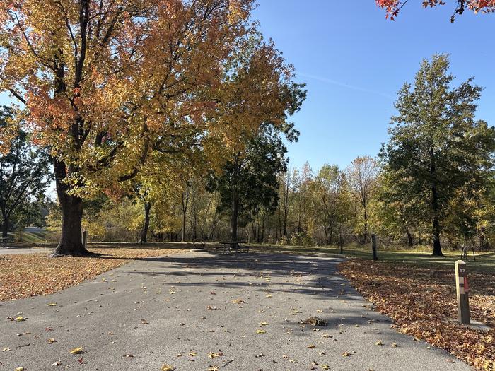 A photo of Site 057 of Loop L3 at Coles Creek Campground with Picnic Table, Electricity Hookup, Fire Pit