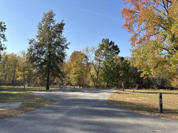 A photo of Site 063 of Loop L3 at Coles Creek Campground with Picnic Table, Electricity Hookup, Fire Pit