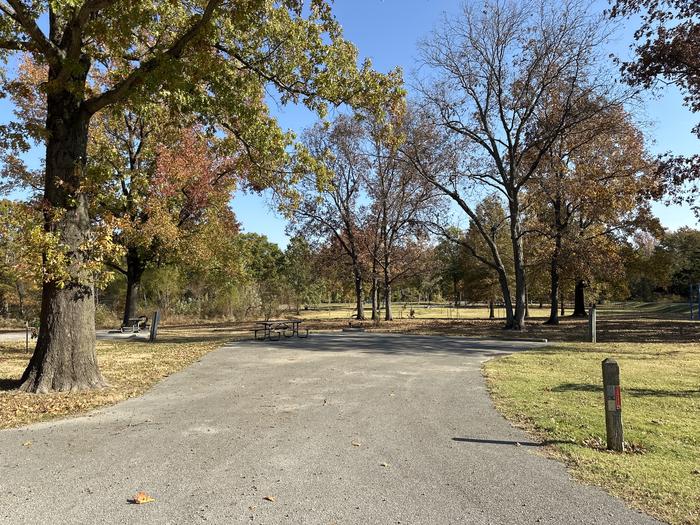 A photo of Site 056 of Loop L3 at Coles Creek Campground with Picnic Table, Electricity Hookup, Fire Pit