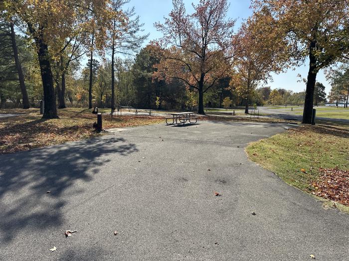 A photo of Site 008 of Loop L1 at Coles Creek Campground with Picnic Table, Electricity Hookup, Fire Pit