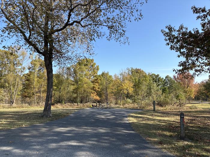 A photo of Site 059 of Loop L3 at Coles Creek Campground with Picnic Table, Electricity Hookup, Fire Pit