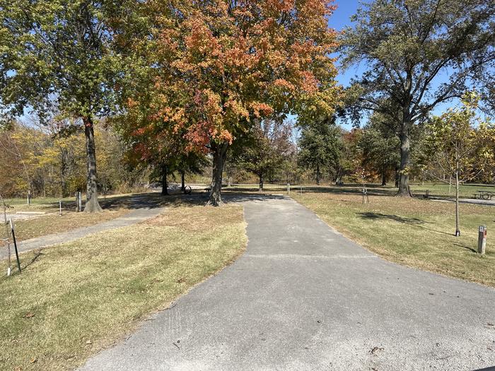 A photo of Site 012 of Loop L1 at Coles Creek Campground with Picnic Table, Electricity Hookup, Fire Pit