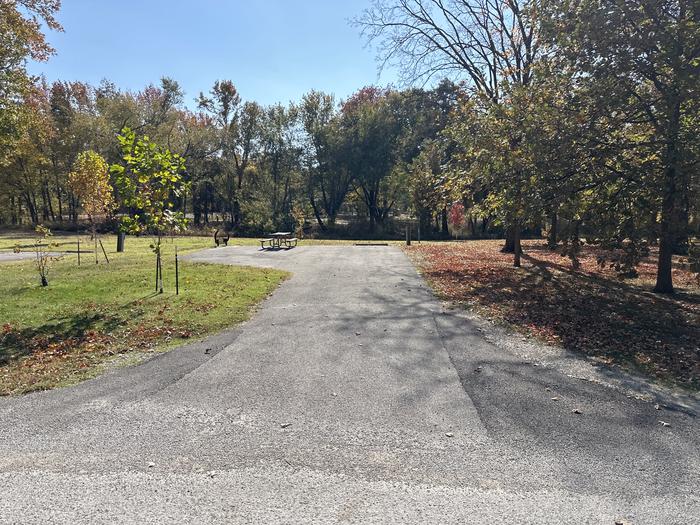 A photo of Site 005 of Loop L1 at Coles Creek Campground with Picnic Table, Electricity Hookup, Fire Pit