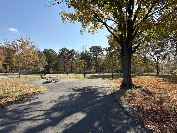 A photo of Site 015 of Loop L1 at Coles Creek Campground with Picnic Table, Electricity Hookup, Fire Pit