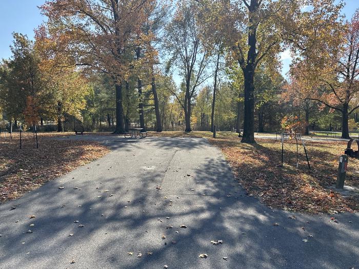 A photo of Site 007 of Loop L1 at Coles Creek Campground with Picnic Table, Electricity Hookup, Fire Pit