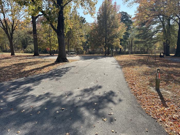 A photo of Site 006 of Loop L1 at Coles Creek Campground with Picnic Table, Electricity Hookup, Fire Pit