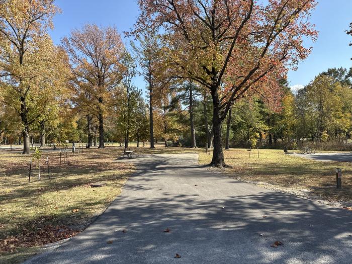 A photo of Site 035 of Loop L1 at Coles Creek Campground with Picnic Table, Electricity Hookup, Fire Pit