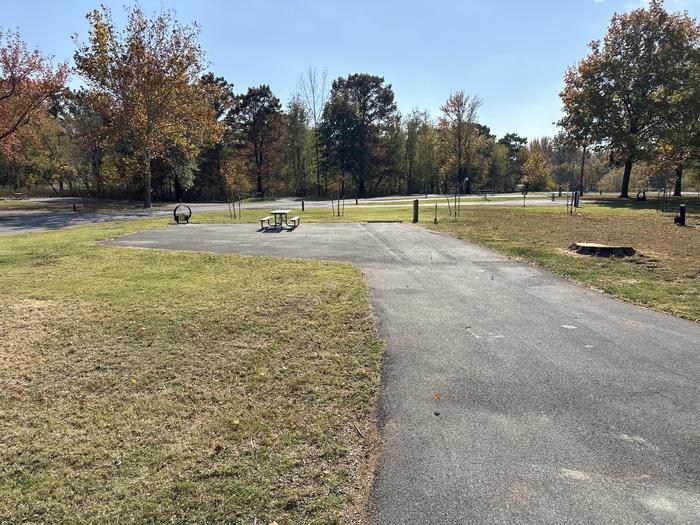 A photo of Site 013 of Loop L1 at Coles Creek Campground with Picnic Table, Electricity Hookup, Fire Pit