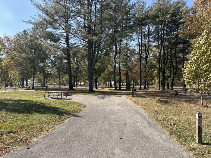 A photo of Site 070 of Loop L4 at Coles Creek Campground with Picnic Table, Electricity Hookup, Fire Pit