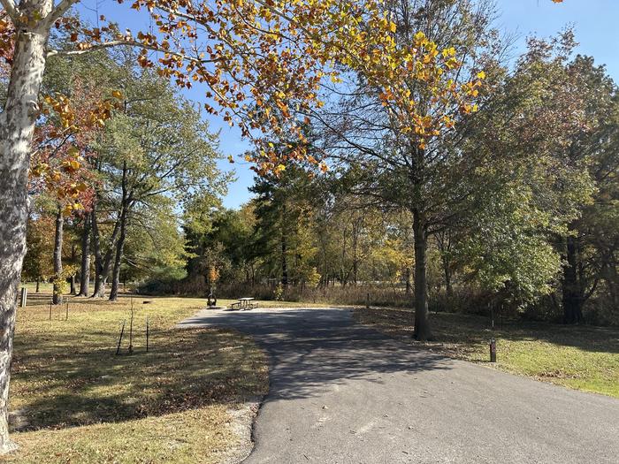 A photo of Site 034 of Loop L1 at Coles Creek Campground with Picnic Table, Electricity Hookup, Fire Pit