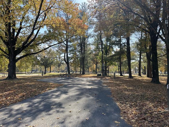 A photo of Site 073 of Loop L4 at Coles Creek Campground with Picnic Table, Electricity Hookup, Fire Pit