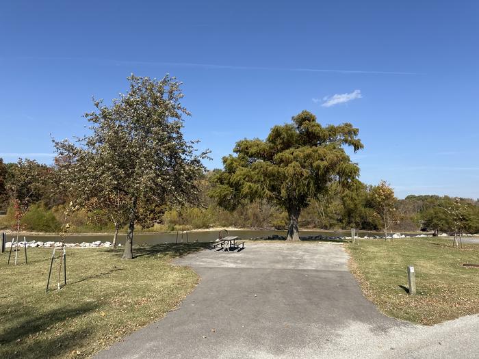 A photo of Site 019 of Loop L1 at Coles Creek Campground with Picnic Table, Electricity Hookup, Fire Pit