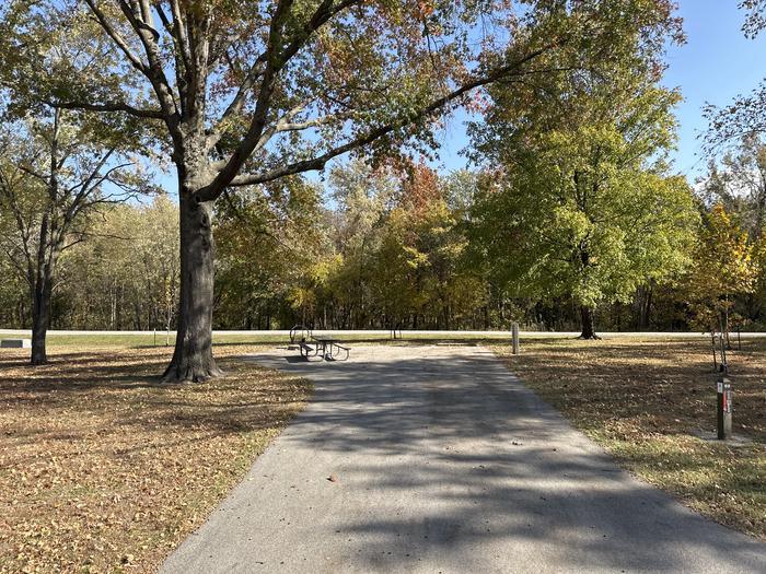 A photo of Site 069 of Loop L4 at Coles Creek Campground with Picnic Table, Electricity Hookup, Fire Pit