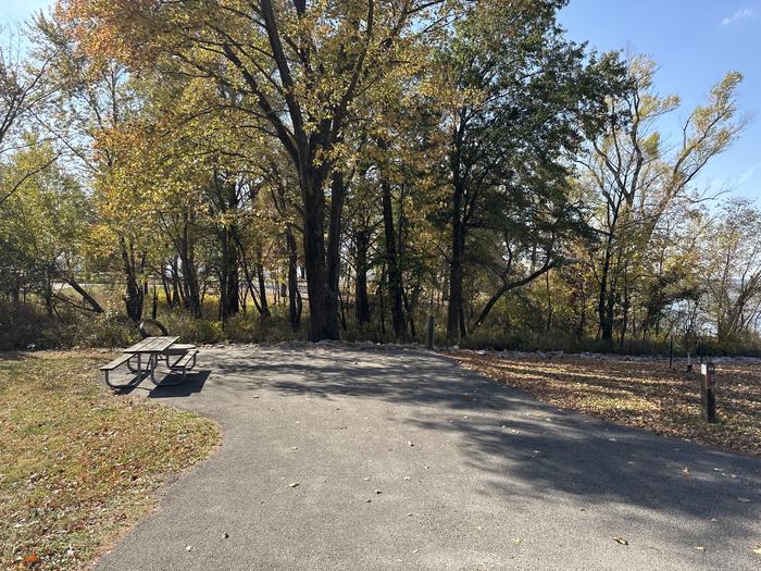 A photo of Site 088 of Loop L4 at Coles Creek Campground with Picnic Table, Electricity Hookup, Fire Pit