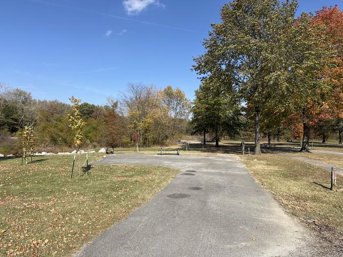 A photo of Site 014 of Loop L1 at Coles Creek Campground with Picnic Table, Electricity Hookup, Fire Pit