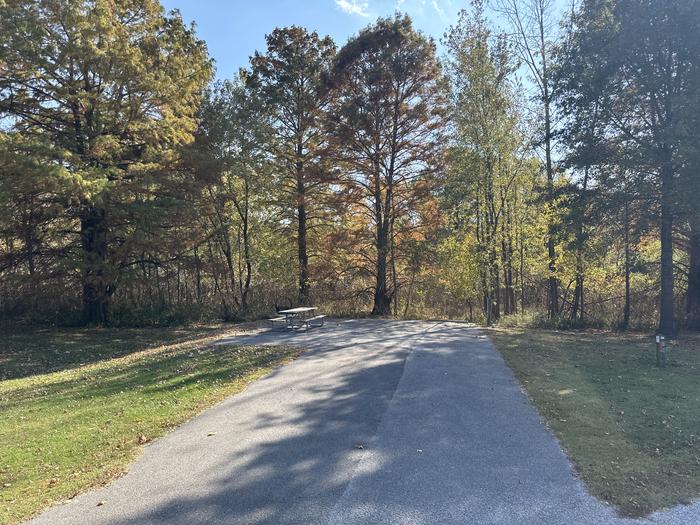 A photo of Site 032 of Loop L1 at Coles Creek Campground with Picnic Table, Electricity Hookup, Fire Pit