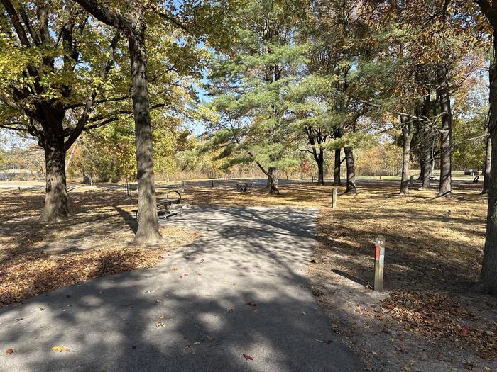 A photo of Site 095 of Loop L4 at Coles Creek Campground with Picnic Table, Electricity Hookup, Fire Pit