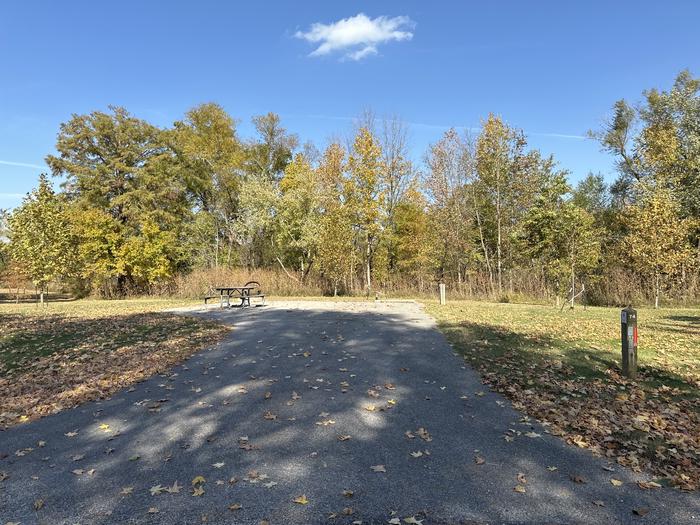 A photo of Site 074 of Loop L4 at Coles Creek Campground with Picnic Table, Electricity Hookup, Fire Pit