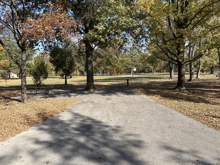 A photo of Site 113 of Loop L5 at Coles Creek Campground with Picnic Table, Electricity Hookup, Fire Pit