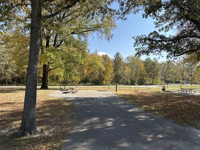 A photo of Site 066 of Loop L4 at Coles Creek Campground with Picnic Table, Electricity Hookup, Fire Pit