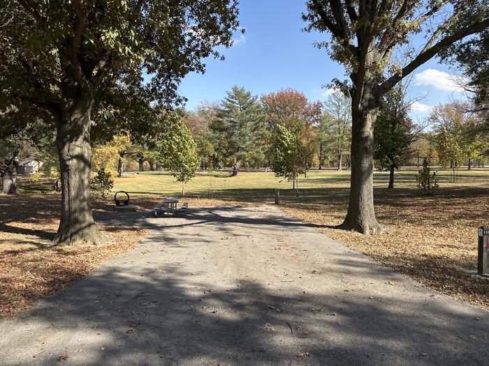 A photo of Site 115 of Loop L5 at Coles Creek Campground with Picnic Table, Electricity Hookup, Fire Pit