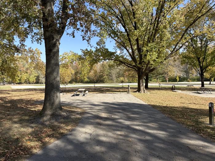 A photo of Site 101 of Loop L5 at Coles Creek Campground with Picnic Table, Electricity Hookup, Fire Pit