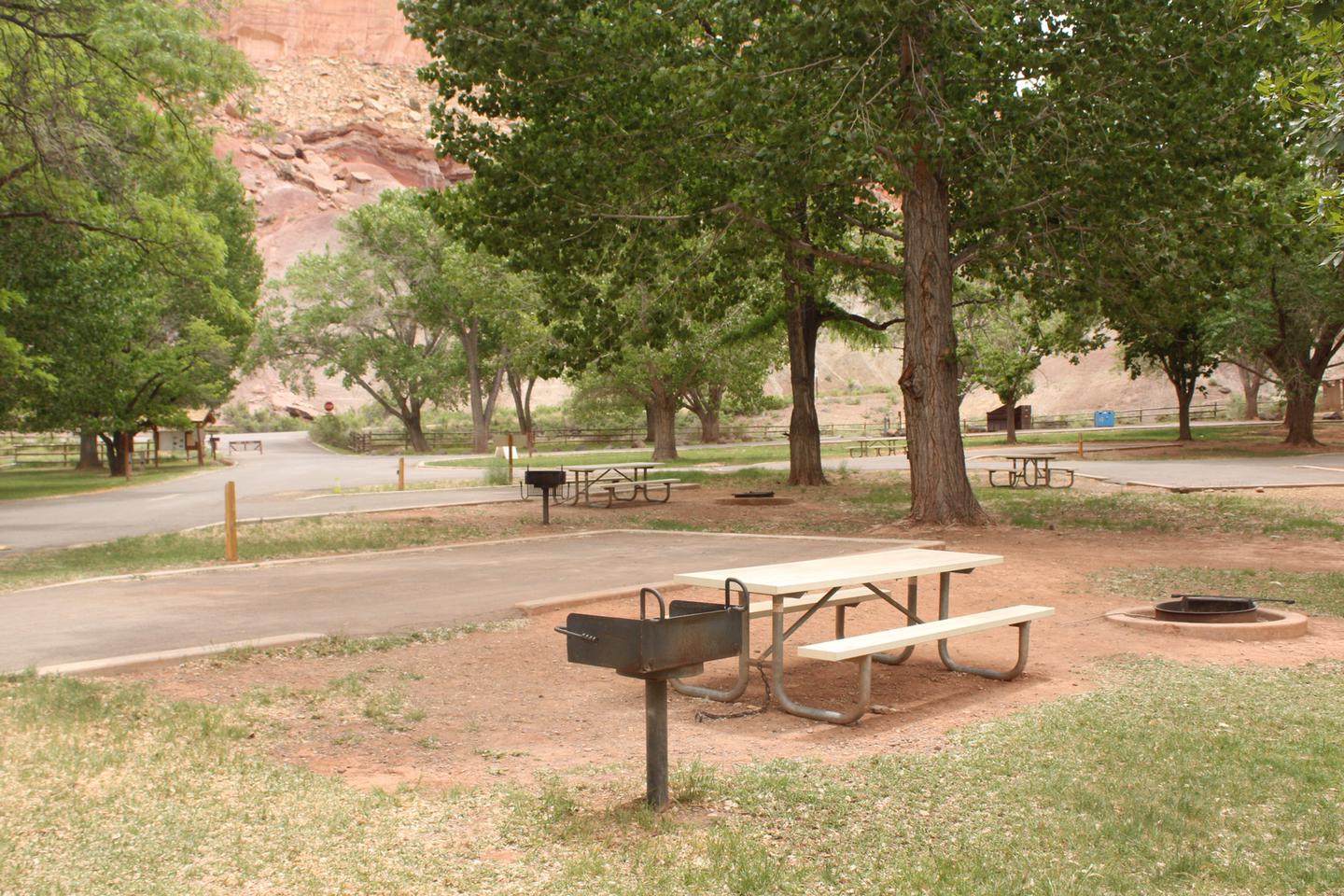 A paved driveway. Facing the end of the driveway, a picnic table, grill, and fire pit are off to the right side.Site 4, Loop A in fall.
Paved Dimensions: 14' x 36'