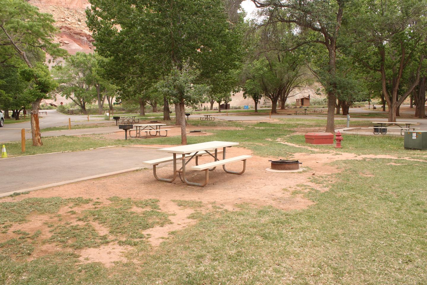 A paved driveway. Facing the end of the driveway, a picnic table is off to the right side and a fire pit is next to it.Site 5, Loop A in summer.
Paved Dimensions: 15' x 32'