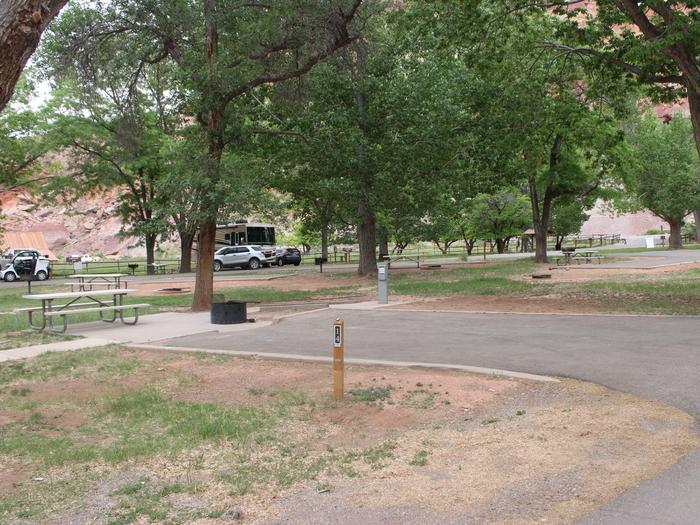 A paved driveway. A picnic table and raised fire pit is directly behind the driveway both on pavement. A tree is directly behind the fire pit. A paved sidewalk comes off of the end of the driveway on the left side (facing the end of the driveway). A gray box is at the end of the driveway, on the right hand side (facing the end of the driveway).Site 14, Loop A in summer. Accessible site.
Paved dimensions: 15' x 28'