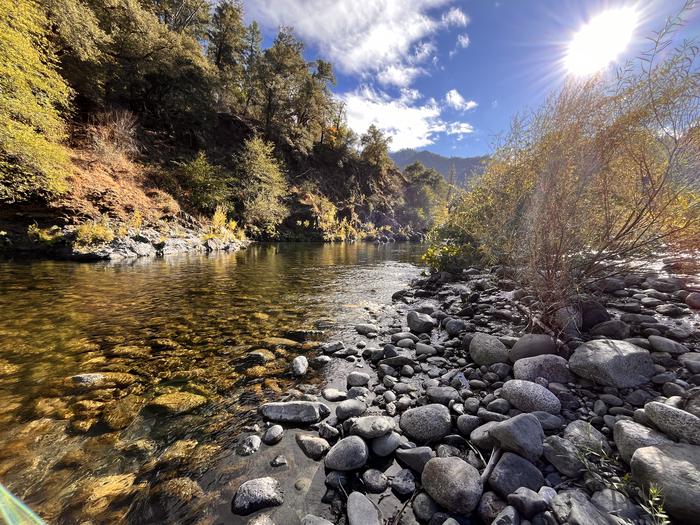 Nordheimer RiverbankSalmon Rivers during the fall