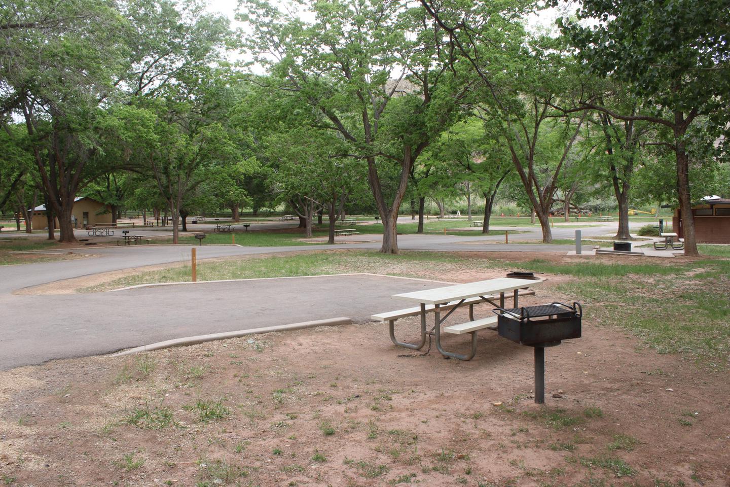 A paved driveway. Facing the end of the driveway, a fire pit is directly behind it and a picnic table and grill are off to the right.Site 17, Loop A in summer.
Paved dimensions: 14' x 29'