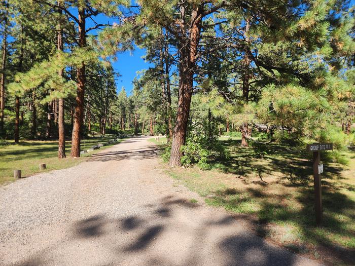 Site 1 driveway.  Vehicles must stay on gravel. No parking in grass.  Parking area at end of drive